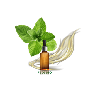 Huile Essentielle de Menthe