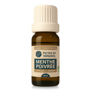 HE Menthe poivrée bio 10ml