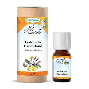 Huile essentielle Marjolaine sylvestre Bio