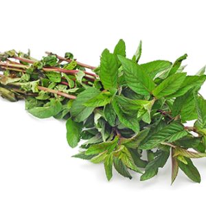 Menthe