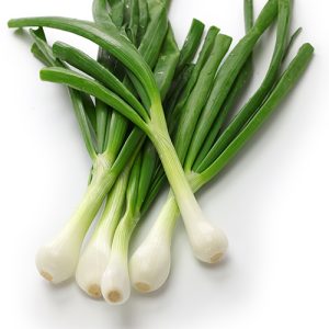 Oignons verts