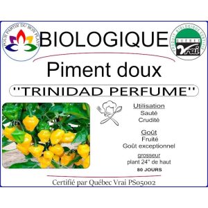 Plant de piment doux Triniad Perfume