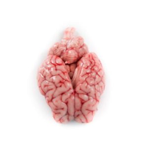 Cervelle d’agneau, 1 Kg, sur commande seulement